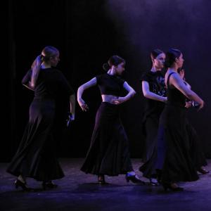 Fotografía de Talleres Baile Flamenco (galería 2) - Conservatorio de Danza